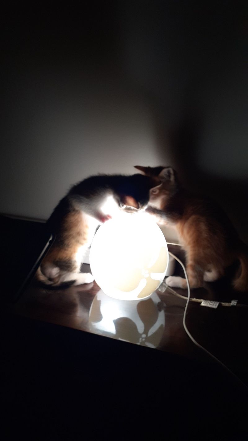 Magic