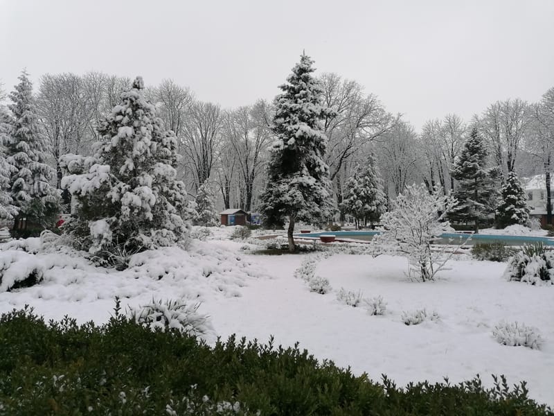 Inverno bianco