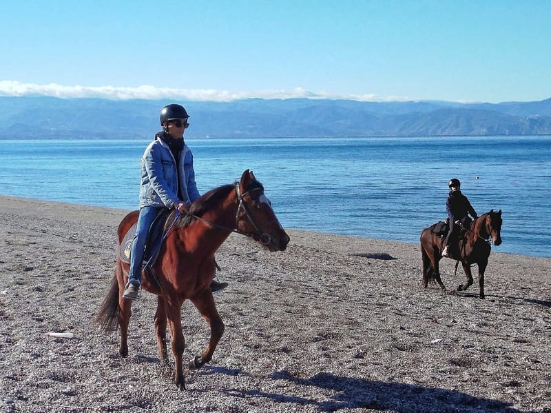 Cavalli a mare