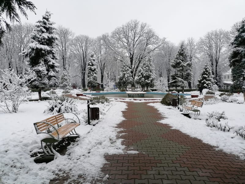 The big white