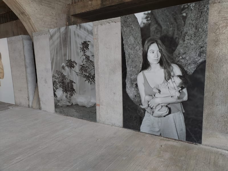 Murales